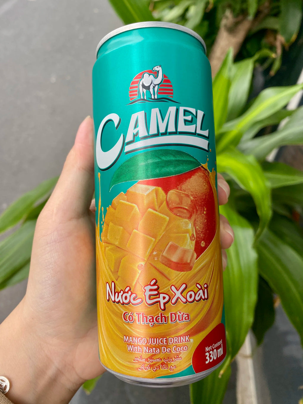 Factory Sale Tropical Pure Fruit Juice Drink Free Sample OEM ODM Private Label 330ml Mango Juice Cans/Bottles